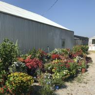 Roger's Greenhouse