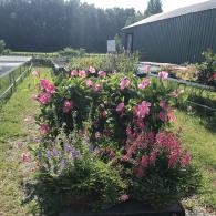 Roger's Greenhouse